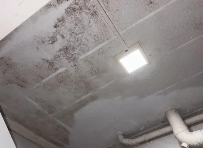 fix ceiling water leakage